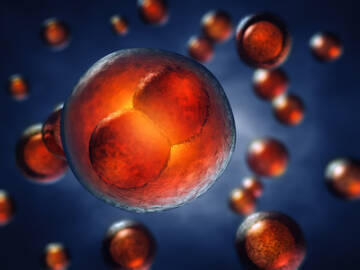 Komórki macierzyste w zębach mlecznych!